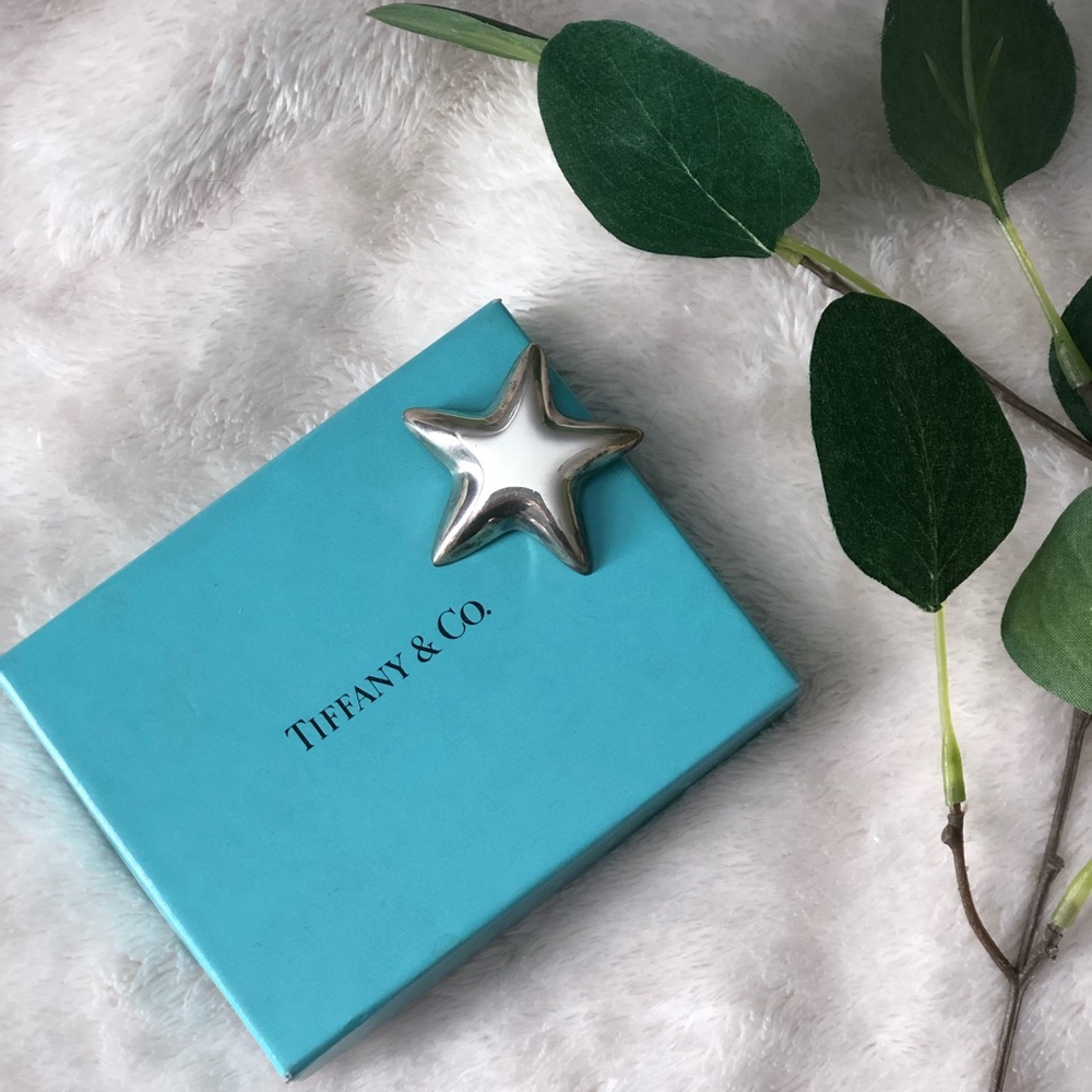 Tiffany & Co. puffy star pin